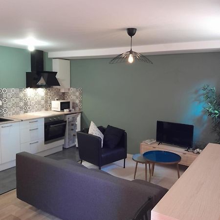 Appartement Proche Gare แซงต์-บรีเออ ภายนอก รูปภาพ